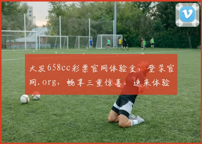 大发658cc彩票官网体验金，登录官网.org，畅享三重惊喜，速来体验