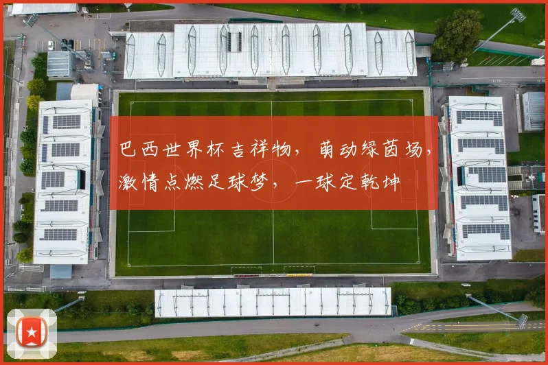 巴西世界杯吉祥物，萌动绿茵场，激情点燃足球梦，一球定乾坤