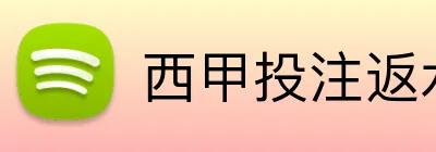 西甲投注返水 logo